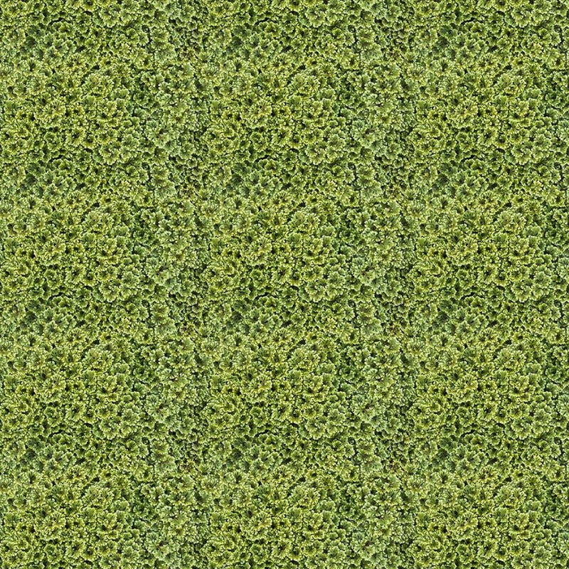 Little Rascals Naturescape - Green Foliage 25497-73