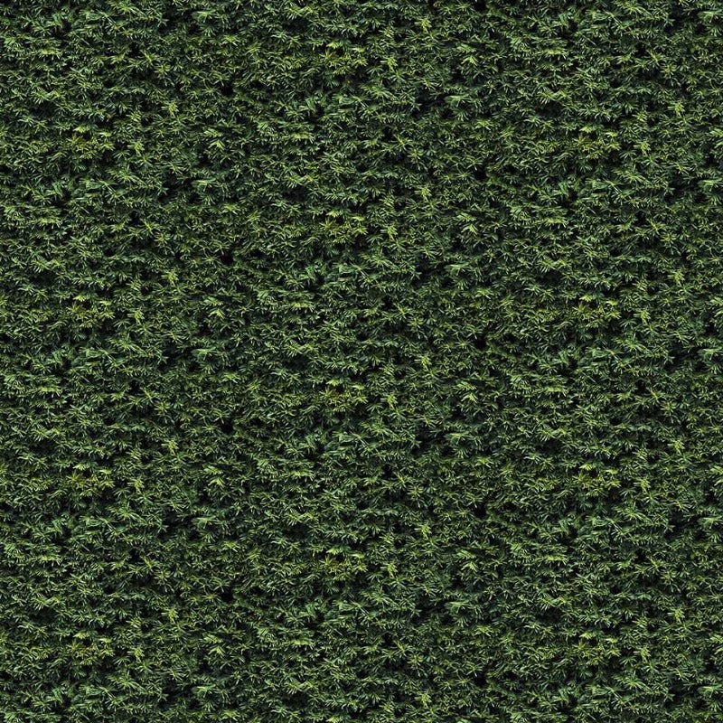 Little Rascals - Green Spruce 25499-79