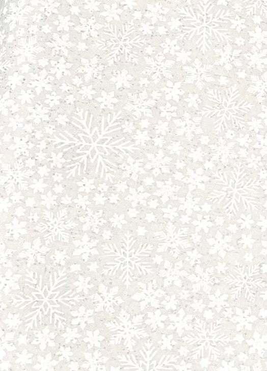 MK Snowflake Wonder Silver  Glitter