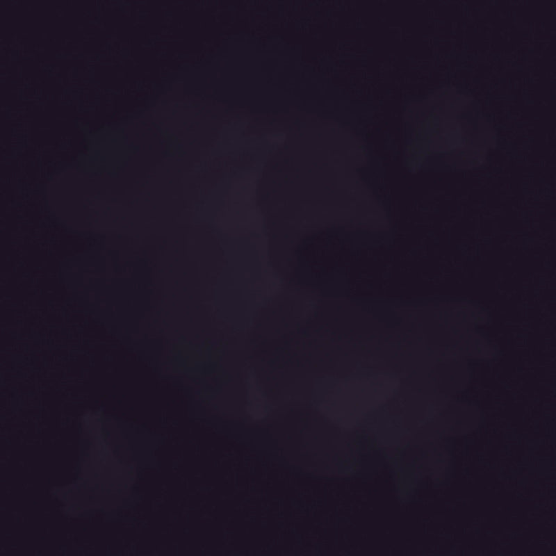 Colorstock - Huckleberry Brushstroke # C2970-HUCKLEBERRY