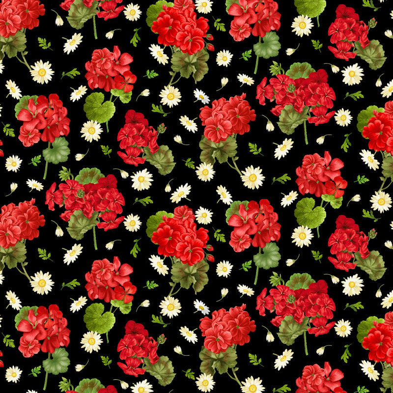 Scarlet Beauty - Black Geranium & Daisies # CD3185-BLACK