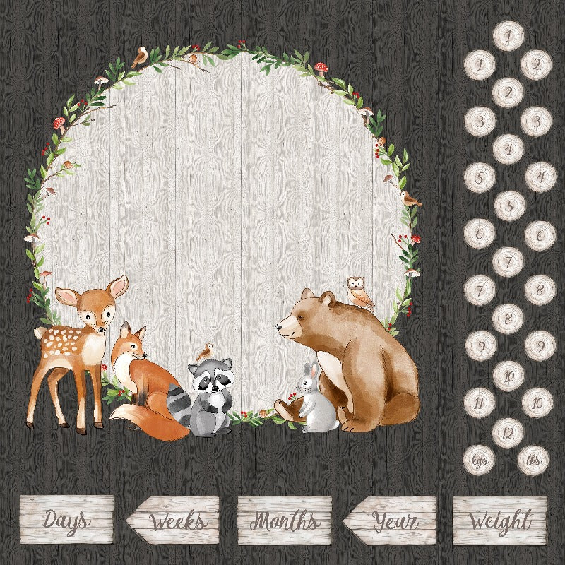Woodland Adventures Baby Panel DP25262-96