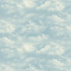 Home On the Range - Blue Big Sky DP 25555-44
