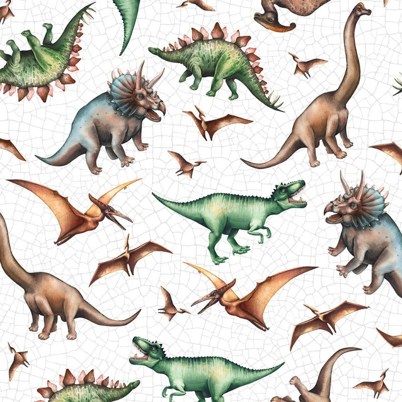 Paleo Tales -  Dinosaurs DP26783-10 White