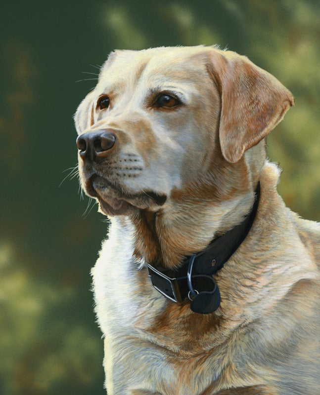 Wallace Lab  Panel # ML34873C1