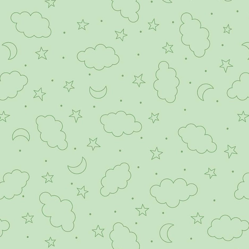 Dreamtime / Positively Pink - Minky Green MK10386-65