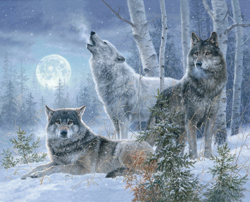 Under The Moonlight 36In Panel # 23770-PNL