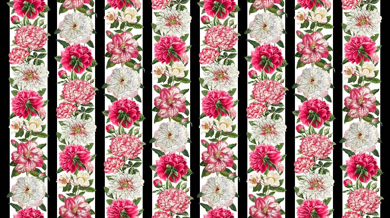 Bloom - Peony Border Stripe 25191-10 White
