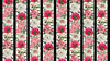 Bloom - Peony Border Stripe 25191-10 White