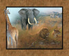 Wild Wings Safari Panel # 76181A620715