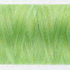 WonderFil Tutti TU29 Grass