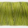 WonderFil Tutti TU32 Moss