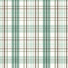 Season's Study -Teal Plaid  # 17841-142