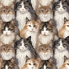 Paw  & Whisker - Multi Longhaired Cats # 21250602-01