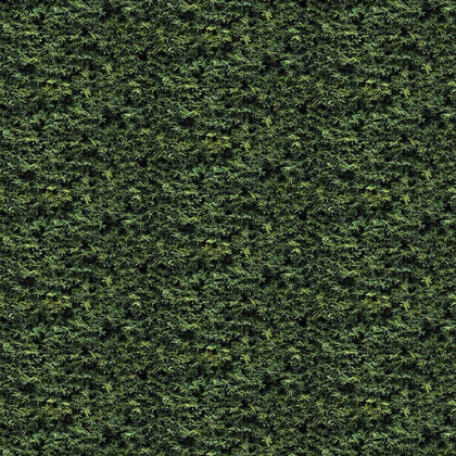 Little Rascals - Green Spruce 25499-79