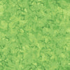 Mirage - 28270-74 Green Apple