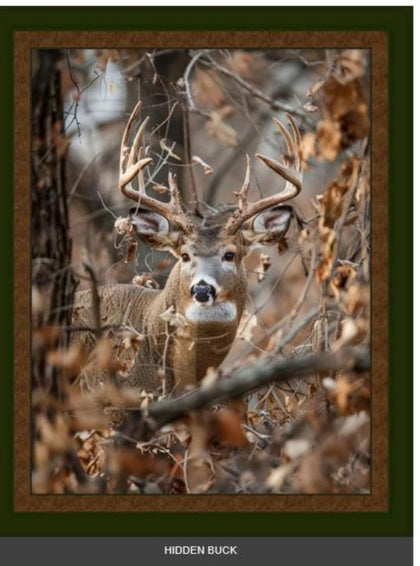 Hidden Buck 36