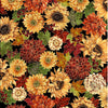 Autumn Bouquet Master Floral # 598251