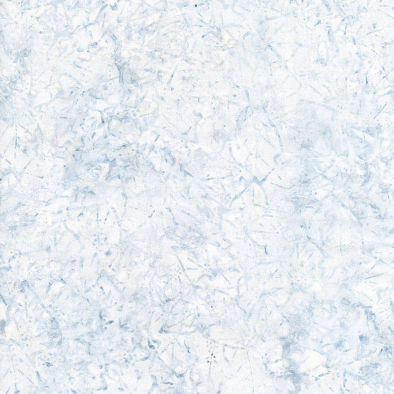 Ice Leaves Silhoette # B1768-ICE