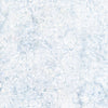 Ice Leaves Silhoette # B1768-ICE