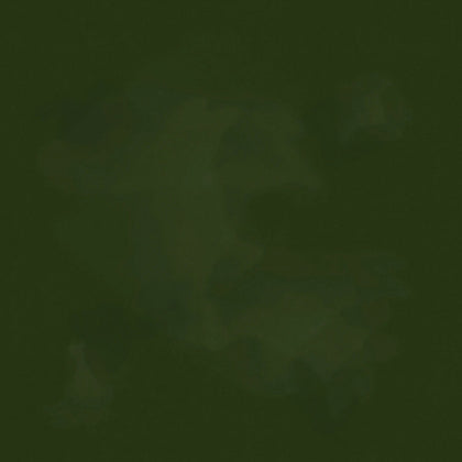 Colorstock - Evergreen Brushstroke # C2970-EVERGREEN