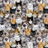 Cat Lady Packed- CAT-C8417 Multi