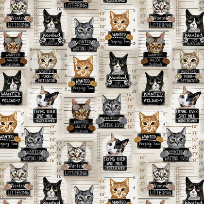 Cats - Beige Cat Mugshots # CD3061-BEIGE