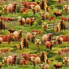 Rolling Hills - Multi Highlands Cows # CD3076-MULTI