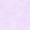 Colorstock - Aster Stamps # CD3838-ASTER