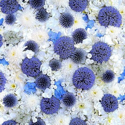 Hand Picked Forget Me Not White/Blue Globe Thistle # D10321M-WB