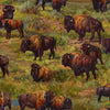 Home On the Range - Green Buffalo Scenic DP 25552-78
