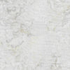 Platinum Foundations Basics # FB-PLATINUM