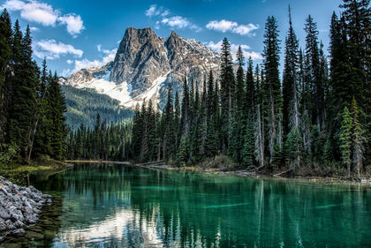 Call Of The Wild Landscape Dusty Teal # W5513H-D21