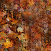 On The Path To Fall - Autumn # Y5786H-66