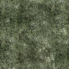 PREORDER -Stag And Stone -  Moss  Y5800H-98