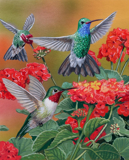 Hummingbirds & Flowers 36in Panel # AL49981C1