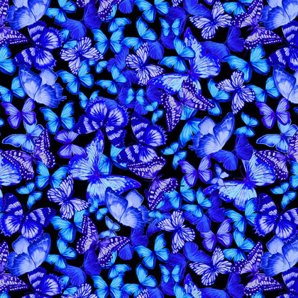 Cosmic Butterfly Black Midnight Butterflies Dance # CD1838-BLACK