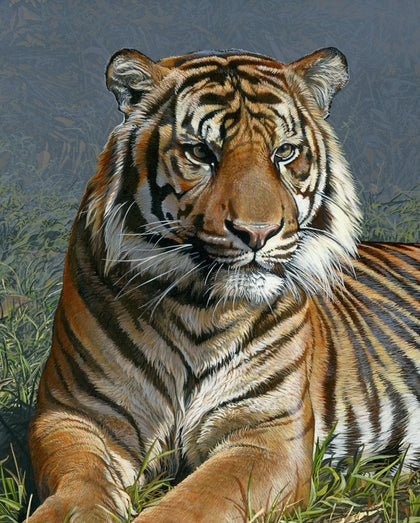 Endangered Tiger Panel ML33252C1