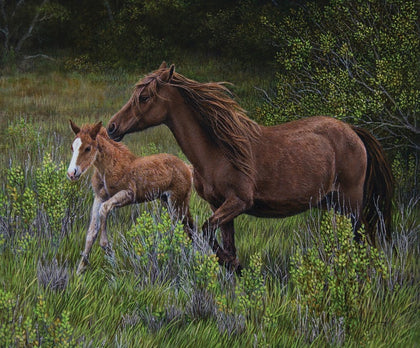 High Horse Running Free With Mom 36in Panel  PD11121R-RUNNING