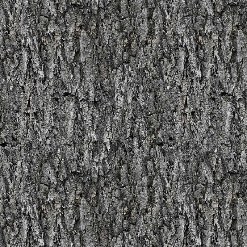 Spirit Animals Grey Tree Texture # SANI4757-S